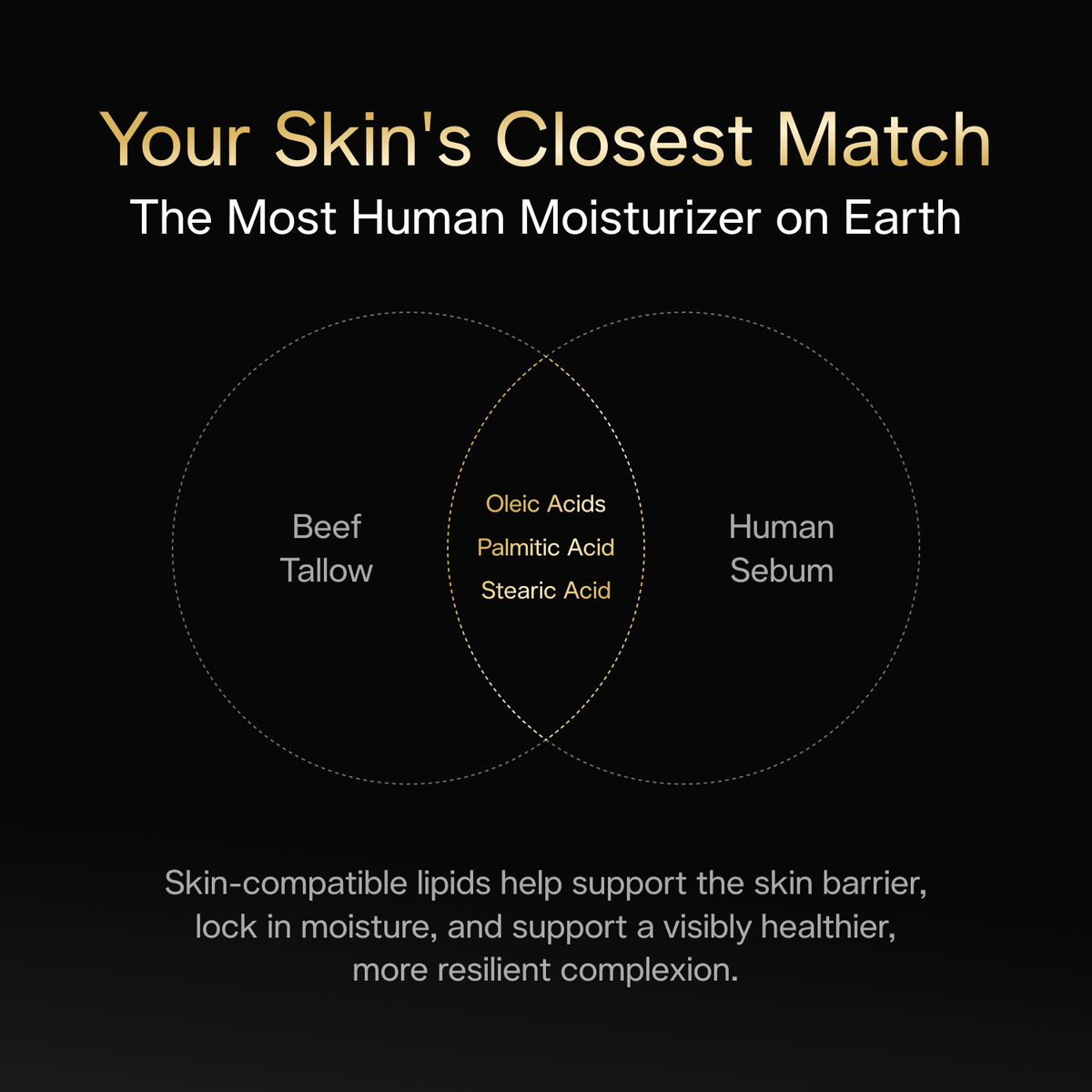 Tallow Moisturizer